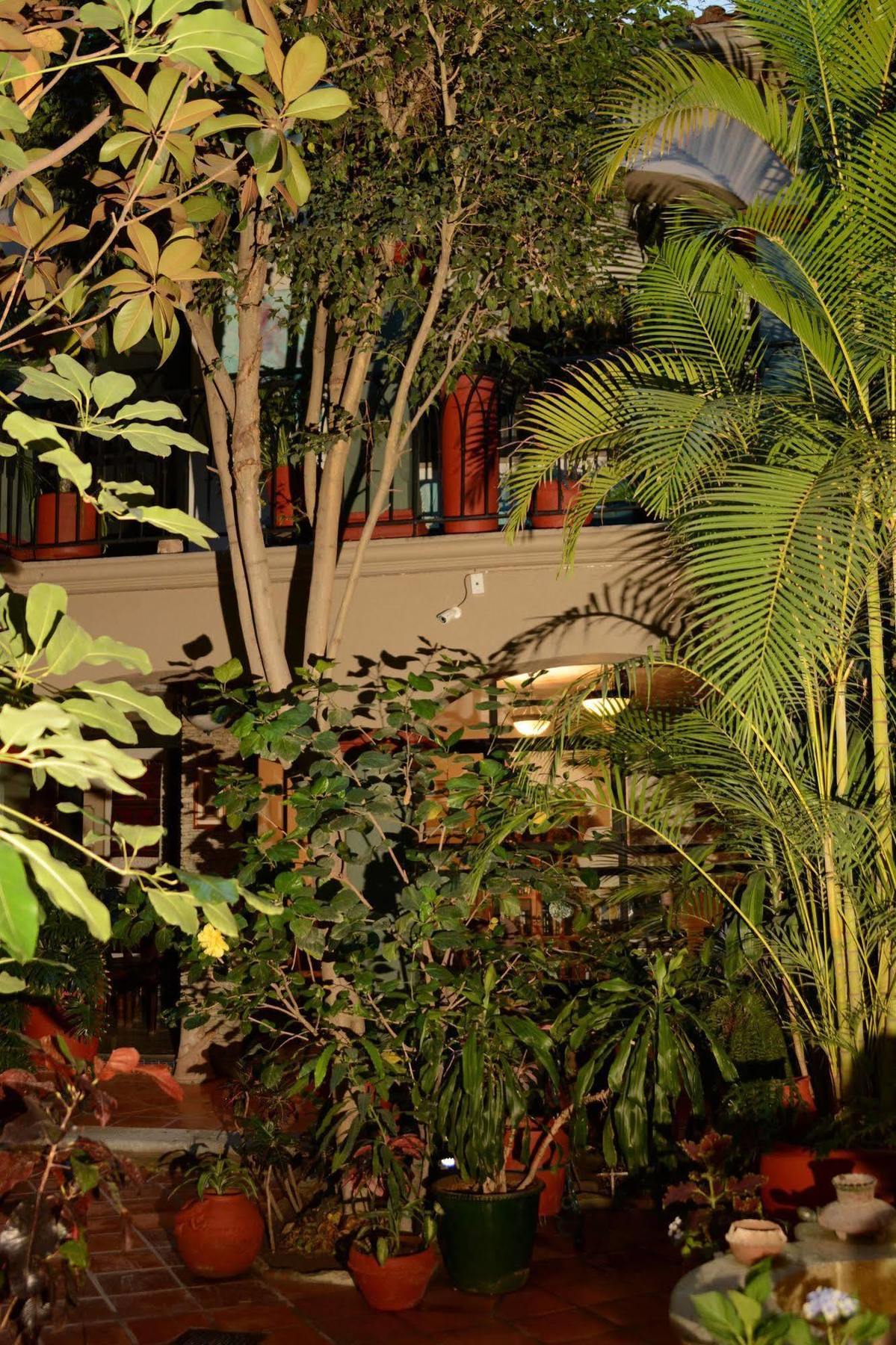 Hotel Casa Guiva Oaxaca Exterior photo